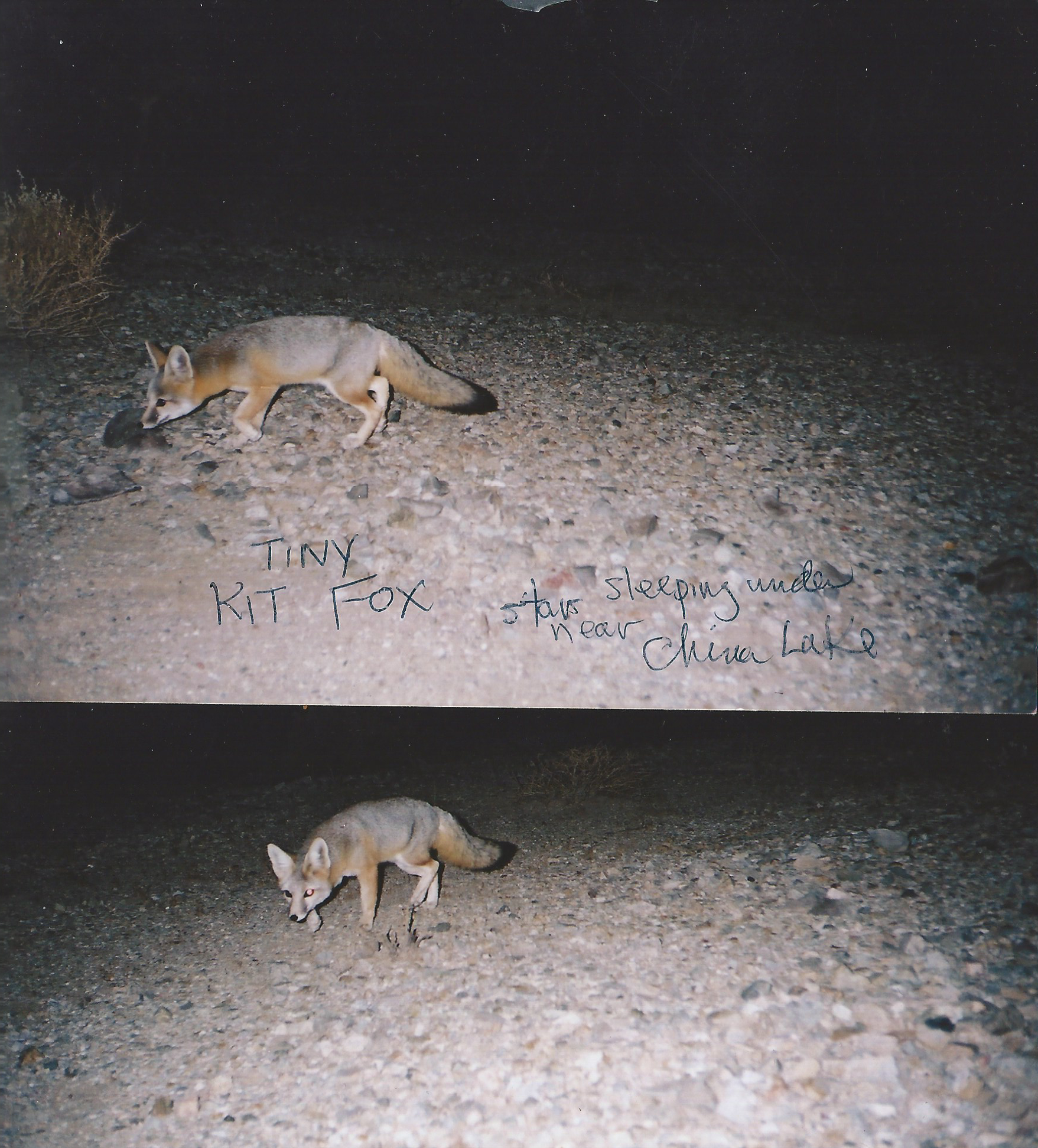 CUANX3OIKZ.jpg