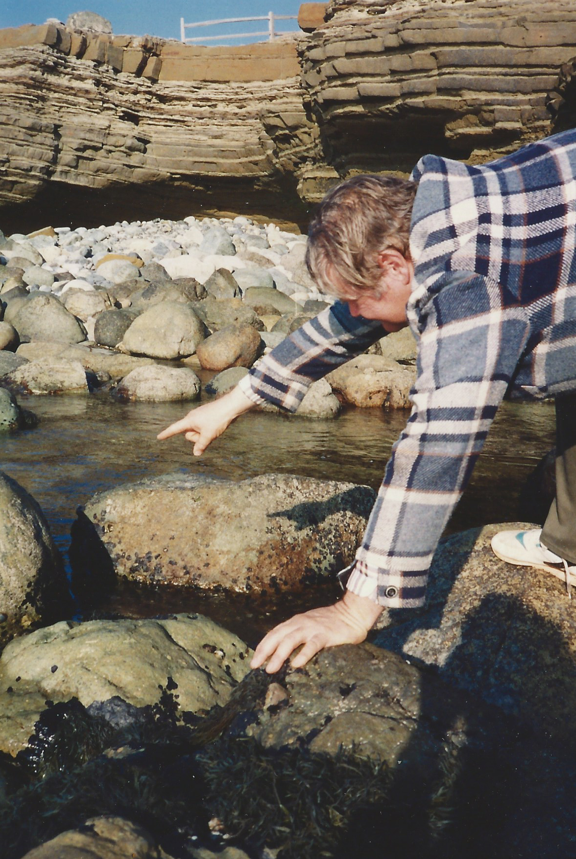 XLVP2UCT6I.jpg